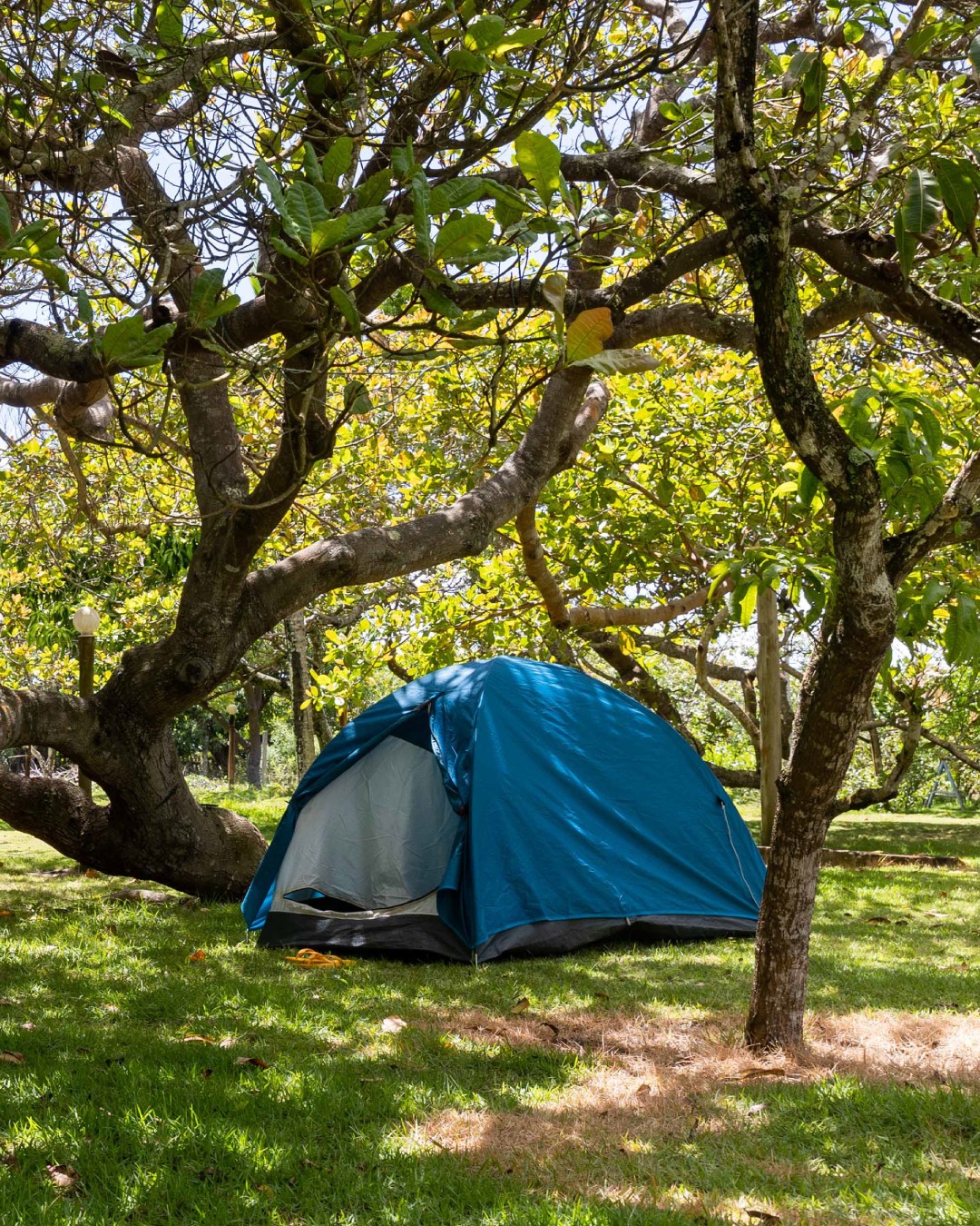 Camping area with tents in nature